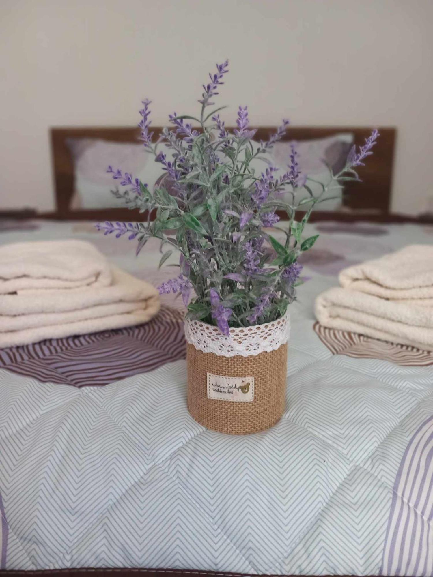 Gopo Guesthouse Elshani Ngoại thất bức ảnh