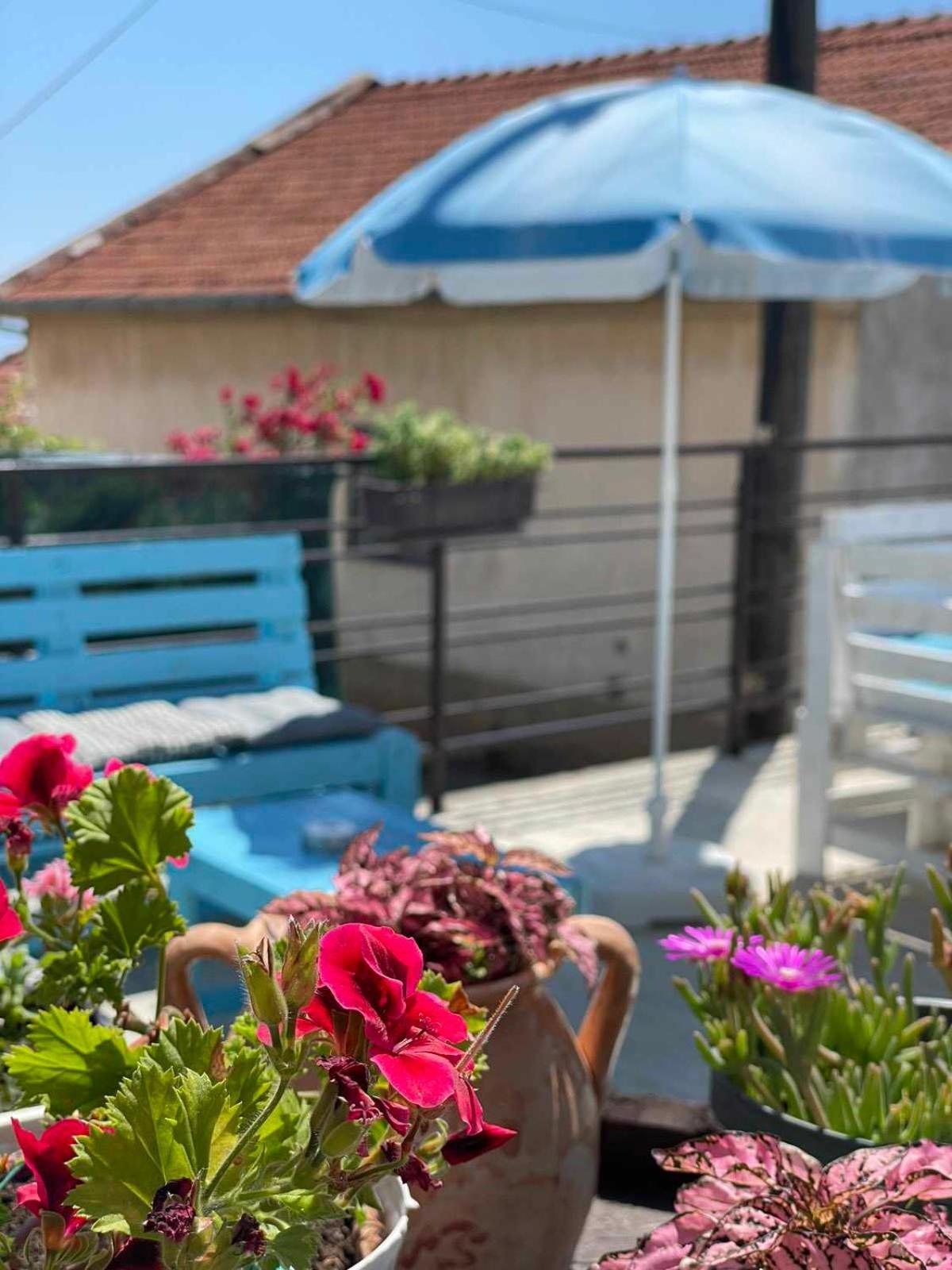 Gopo Guesthouse Elshani Ngoại thất bức ảnh